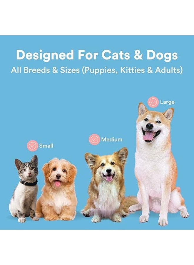 4 Pack Dog Toothbrush | Dog Teeth Cleaning| Dog Finger Toothbrush| Dog Tooth Brushing Kit| Dog Finger brush Toothbrush| Cat Toothbrush| Pet Toothbrush, Puppy Toothbrush - Image 2